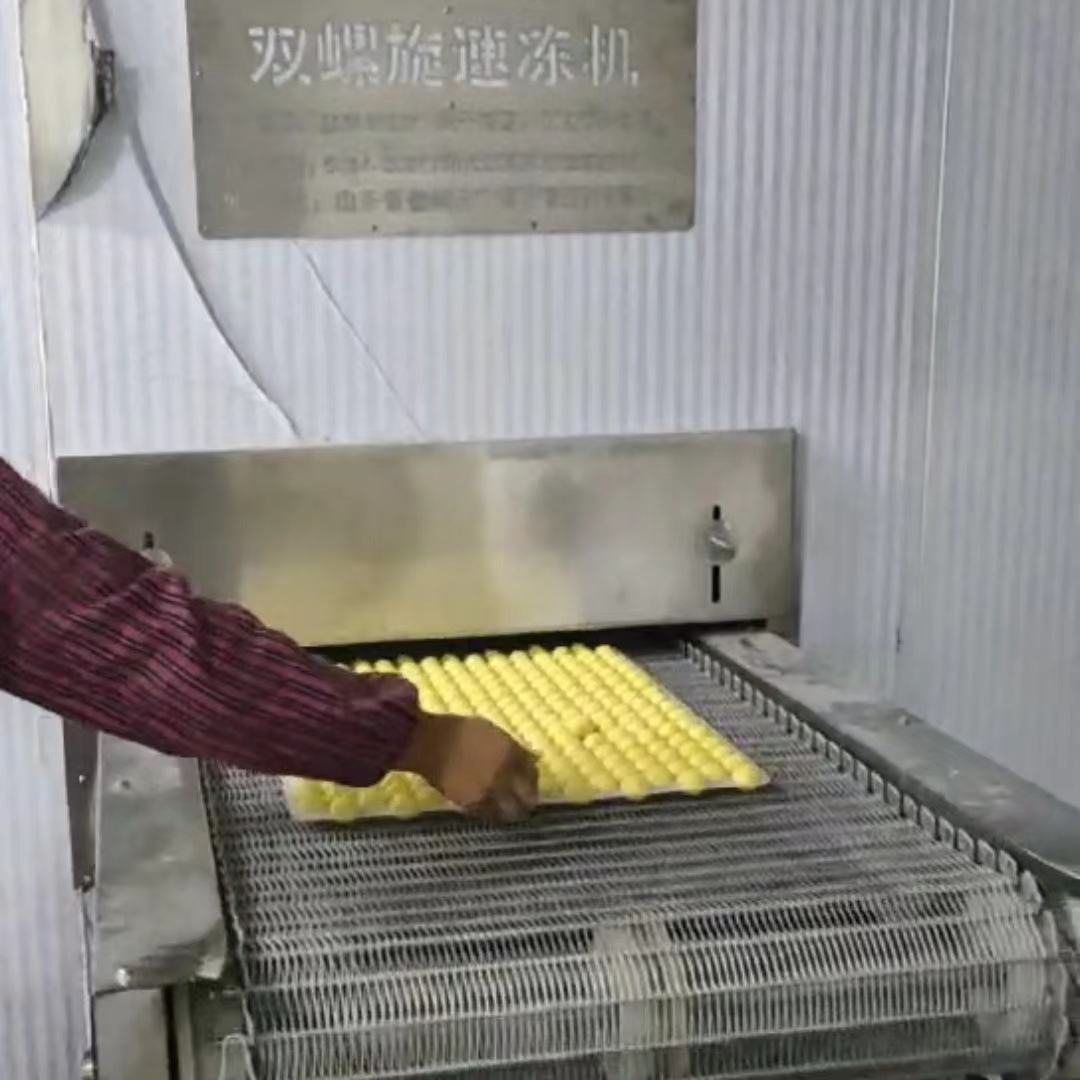 速凍湯圓1噸螺旋隧道
